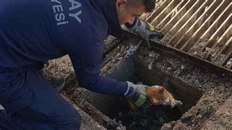 Hatay'da mazgalın altında mahsur kalan kediyi itfaiye kurtardı - Son Dakika Haberleri